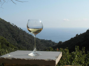  Agriturismo Costa di Campo  Вернацца